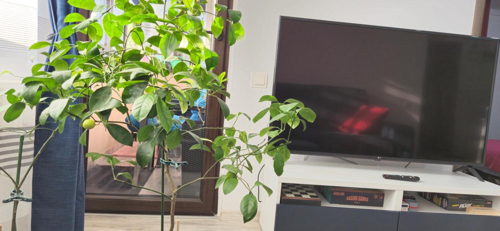 Littlebig Apartment Bükreş Dış mekan fotoğraf